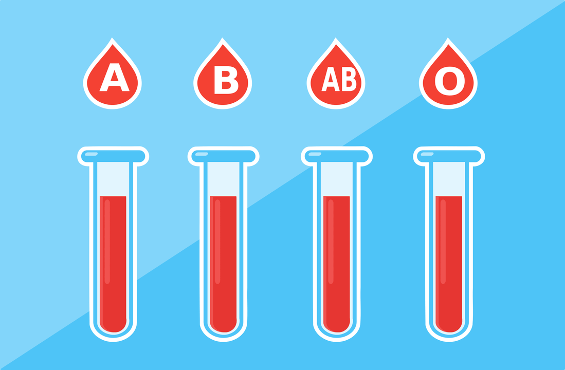 Hay 4 tipos de sangre A, B, AB, O. 